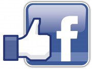 facebook_like_logo